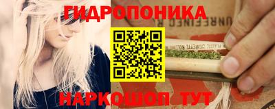 стафф Чебоксары