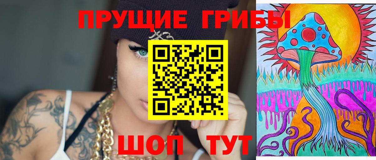 Псилоцибиновые грибы мицелий Ярцево