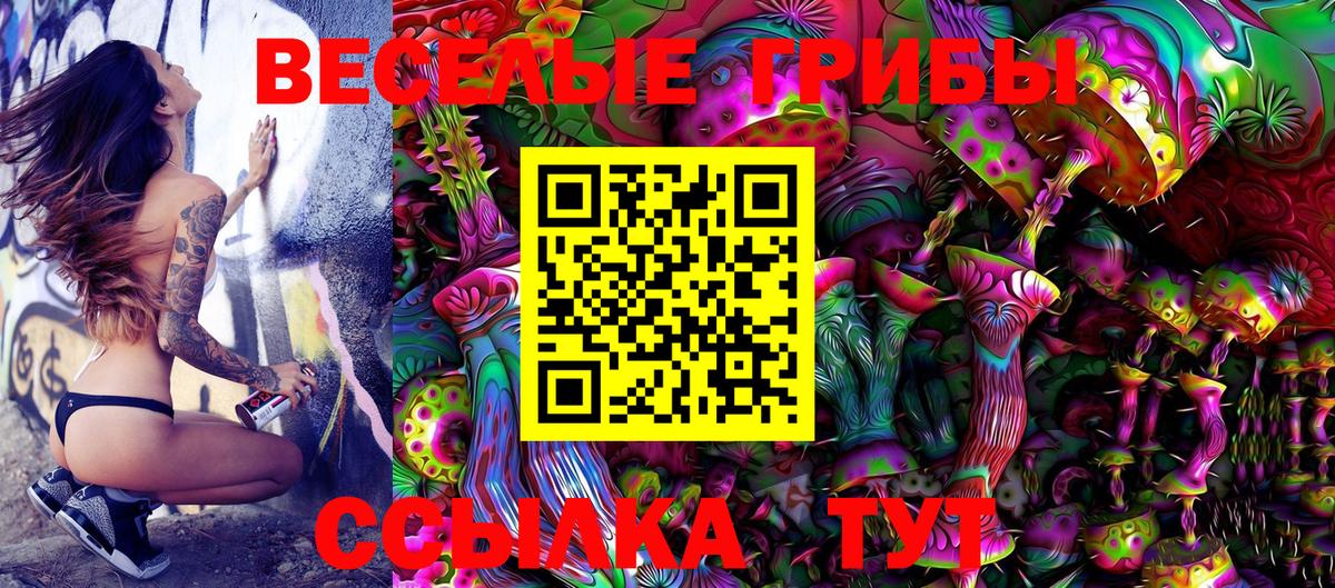 Ярцево  Галлюциногенные грибы Psilocybe  Вход с VPN 